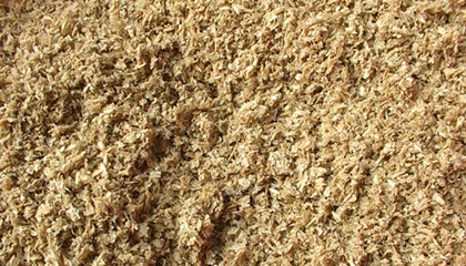 ơ����Óˮǰ